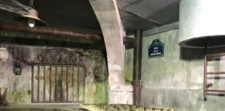 Paris et le Mystère du Crocodile des Égouts : Mythe ou Réalité ?